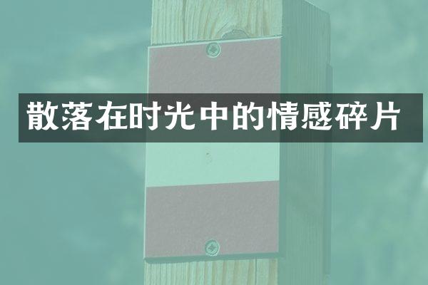散落在时光中的情感碎片