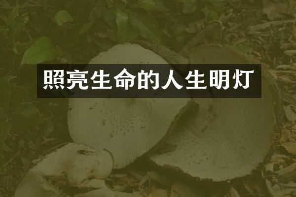 照亮生命的人生明灯