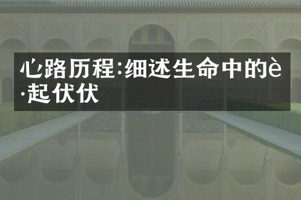 心路:细述生命中的起起伏伏