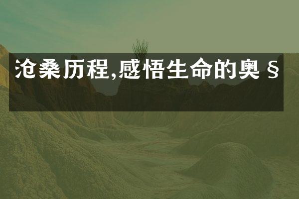 沧桑,感悟生命的奥秘