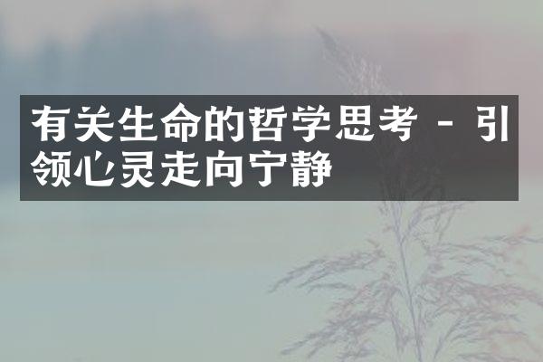 有关生命的哲学思考 - 引领心灵走向宁静