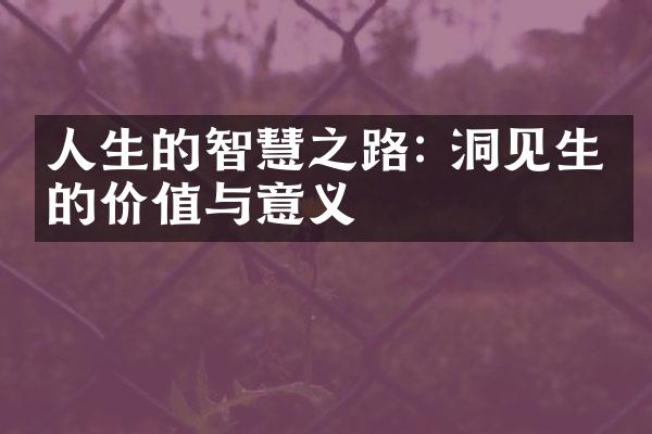 人生的智慧之路: 洞见生命的价值与意义
