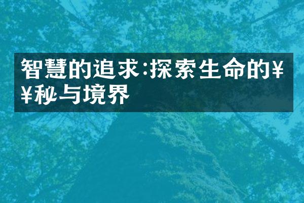 智慧的追求:探索生命的奥秘与境界