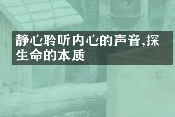 静心聆听内心的声音,探寻生命的本质