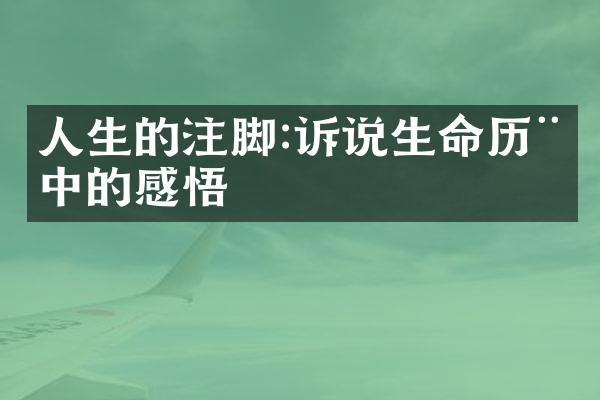 人生的注脚:诉说生命中的感悟