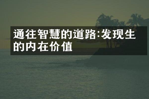 通往智慧的道路:发现生命的内在价值