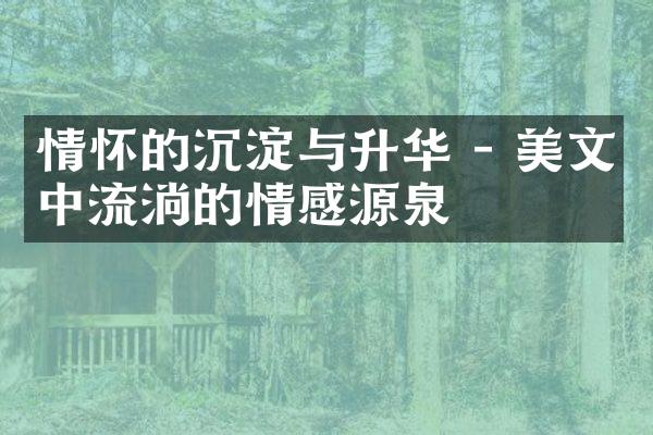 情怀的沉淀与升华 - 美文中流淌的情感源泉