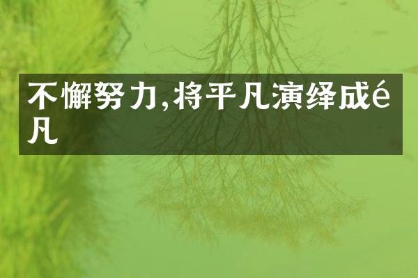 不懈努力,将平凡演绎成非凡