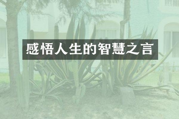感悟人生的智慧之言