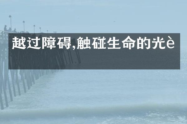 越过障碍,触碰生命的光芒