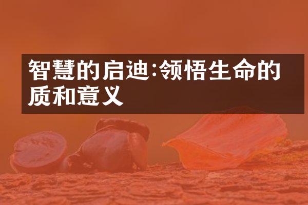 智慧的启迪:领悟生命的本质和意义