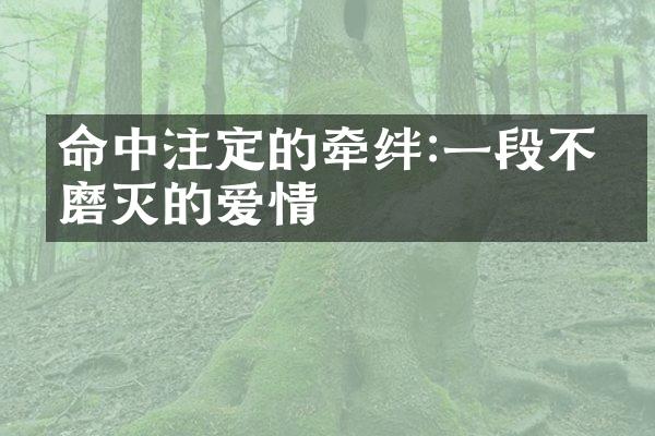 命中注定的牵绊:一段不可磨灭的爱情