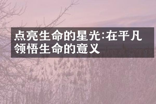 点亮生命的星光:在平凡中领悟生命的意义