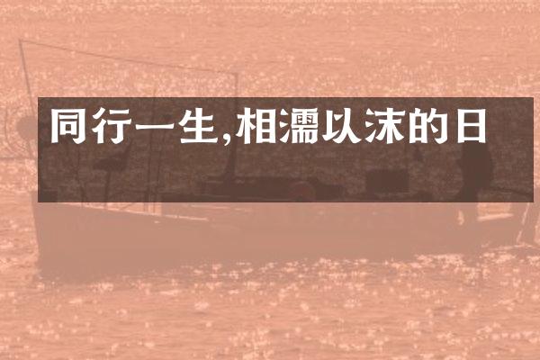 同行一生,相濡以沫的日子