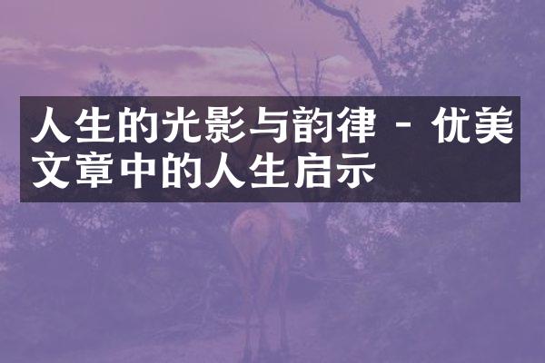 人生的光影与韵律 - 优美文章中的人生启示