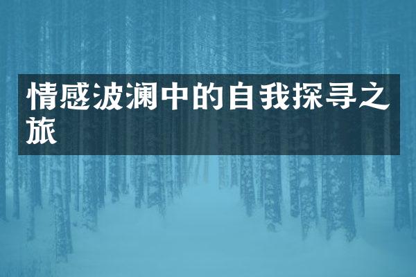 情感波澜中的自我探寻之旅