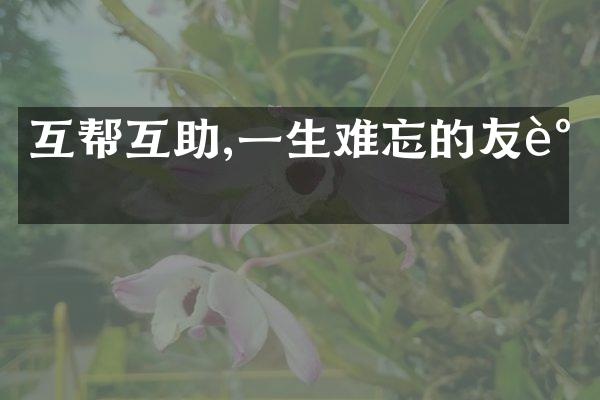 互帮互助,一生难忘的友谊