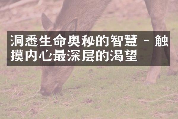 洞悉生命奥秘的智慧 - 触摸内心最深层的渴望