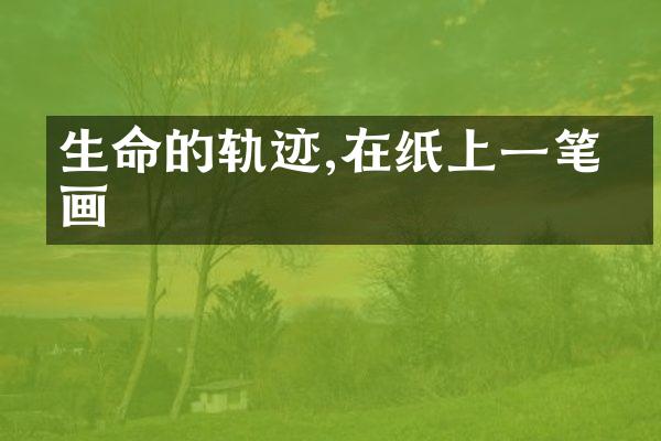生命的轨迹,在纸上一笔一画