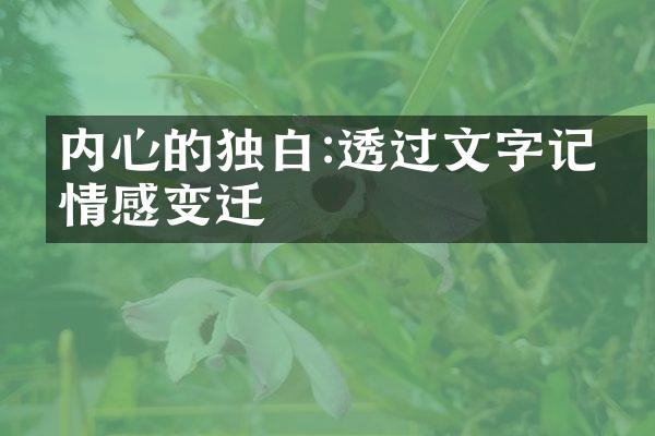 内心的独白:透过文字记录情感变迁