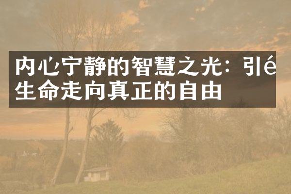 内心宁静的智慧之光: 引领生命走向真正的自由