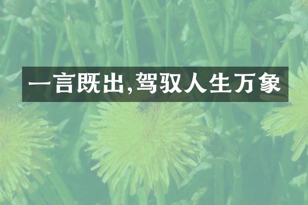 一言既出,驾驭人生万象